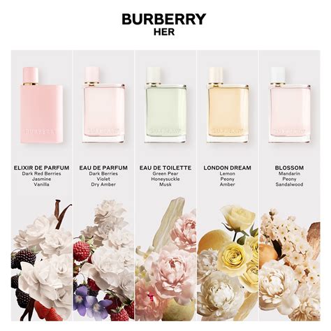 burberry elixir fragrantica|burberry fragrance for women reviews.